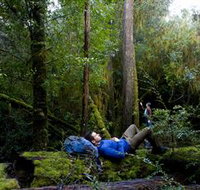 The Tarkine Drive - Accommodation Resorts