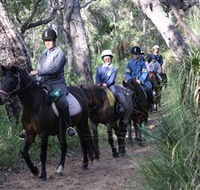 Mirravale Horse Riding School - Accommodation Resorts
