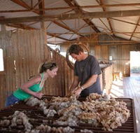 Peron Homestead - Accommodation Resorts