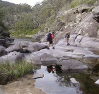 Nadgee Wilderness Walk - Accommodation Resorts