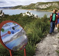 Rocky Cape National Park - Accommodation Resorts