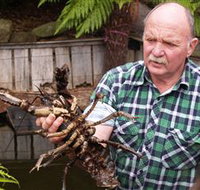 Lobster Ponds - Accommodation Resorts