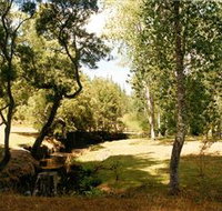 Oldina Picnic Area - Accommodation Resorts
