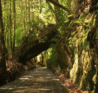 Philosopher Falls - Accommodation Resorts