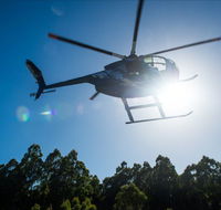 Tall Timbers Adventure Tours - Accommodation Resorts