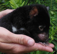 Crawn Motors - Accommodation Resorts