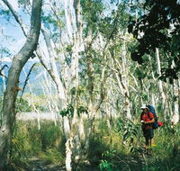 Thorsborne Trail Hinchinbrook Island National Park - Accommodation Resorts