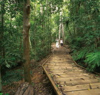 Lake Barrine Circuit Track Crater Lakes National Park - Accommodation Resorts