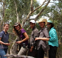 Echidna Walkabout Nature Tours - Accommodation Resorts