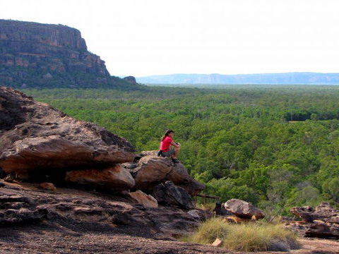 Echidna Walkabout Nature Tours - Accommodation Resorts 21