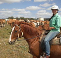 Myella Farm Stay Tours - Accommodation Resorts