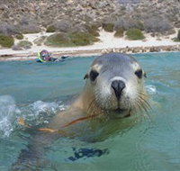Calypso Star Charters - Accommodation Resorts