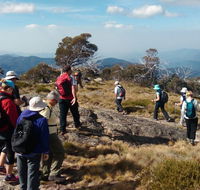 Hedonistic Hiking - Accommodation Resorts