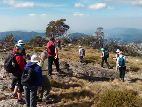 Hedonistic Hiking - Accommodation Resorts 0