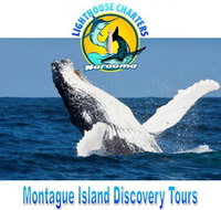 Lighthouse Charters Narooma - Accommodation Resorts