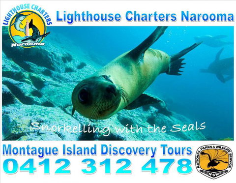 Lighthouse Charters Narooma - Accommodation Resorts 12