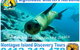 Lighthouse Charters Narooma - thumb 13