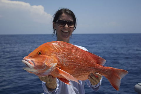 Absolute Ocean Charters - Accommodation Resorts 3