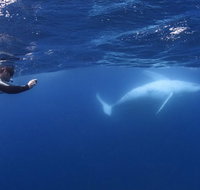 Sunreef Mooloolaba - Accommodation Resorts