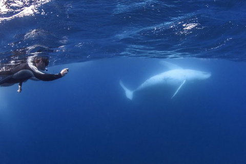 Sunreef Mooloolaba - Accommodation Resorts 3