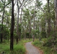 Caboolture Regional Environment Education Centre - Walking Trails - Accommodation Resorts