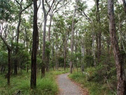 Caboolture Regional Environment Education Centre - Walking Trails - Accommodation Resorts 0
