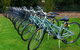 Barossa Bike  - thumb 0