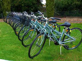Barossa Bike  - Accommodation Resorts 0