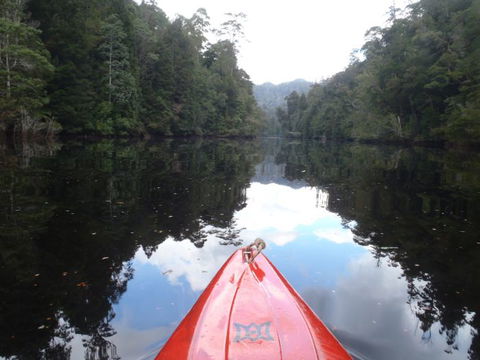 King River Rafting - Accommodation Resorts 1