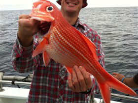 Goin' Off Safaris - Accommodation Resorts 0