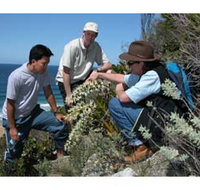 Sapphire Coast Ecotours - Accommodation Resorts