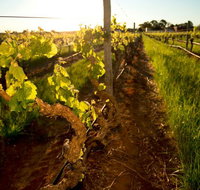Kaesler Old Vine Vineyard Tour - Accommodation Resorts