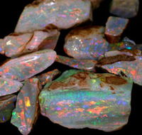 Arid Areas Tours - Accommodation Resorts