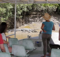 Whitsunday Crocodile Safari - Accommodation Resorts