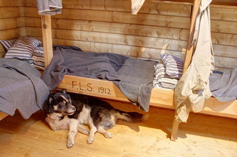 Mawson's Huts Replica Museum - Accommodation Resorts 7