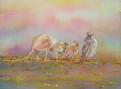 Territory Colours - Accommodation Resorts 1