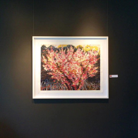 Gallery One - Accommodation Resorts 1