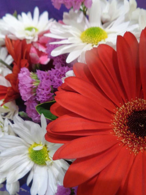 Marysworldart Bali Imports - Accommodation Resorts 0