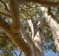 Lindsay Pryor Walk Australian National University - Accommodation Resorts