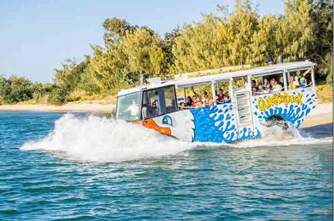Quackr Duck - Accommodation Resorts 1