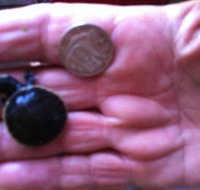 Hurleys Aquariums - Accommodation Resorts