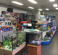 Nambour Pet Shop - Accommodation Resorts