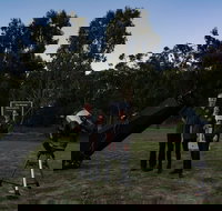 Stargazing Busselton with Mobile Observatory - Accommodation Resorts