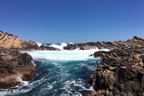 Private Margaret River And Busselton Day Trip From Perth - Accommodation Resorts 1