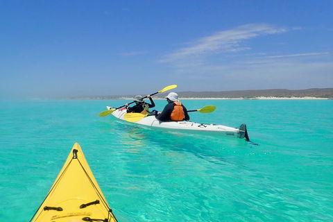Lagoon Explorer - Ningaloo Reef Full-Day Kayaking And Snorkeling Adventure - Accommodation Resorts 7