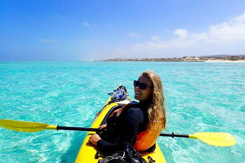 Lagoon Explorer - Ningaloo Reef Full-Day Kayaking And Snorkeling Adventure - Accommodation Resorts 2