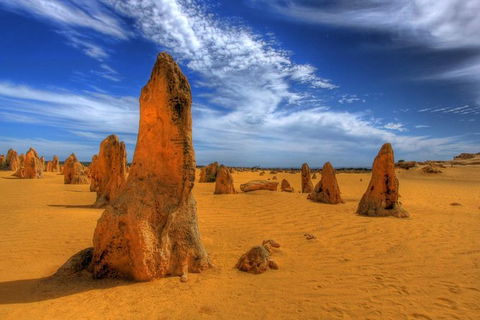 Full Day Pinnacle Desert Explorer From Perth Including Hillarys And Lancelin Sandboarding - Accommodation Resorts 5