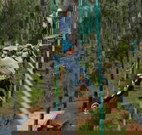 Busselton High Ropes and Zipline Adventure - Accommodation Resorts