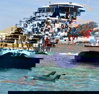 Mandurah Dolphin and Scenic Marine Cruise - Accommodation Resorts