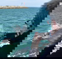 Mandurah Dolphin Island Adventure - Accommodation Resorts